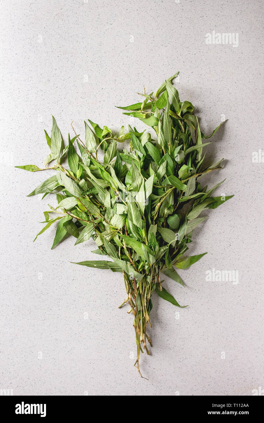 Vietnamese oregano greens Stock Photo Alamy