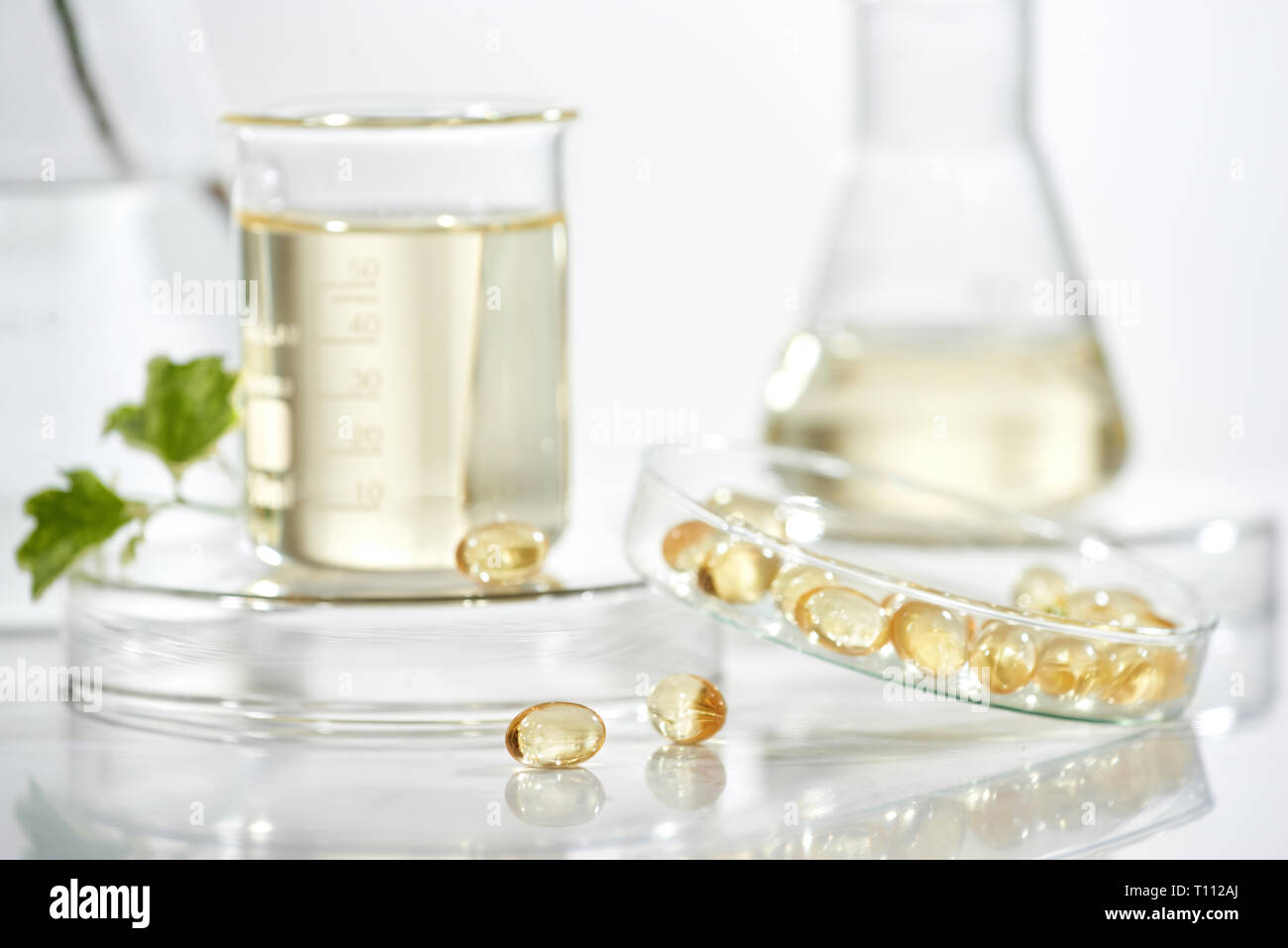 the scientist or doctor make herbal medicine from herb in the