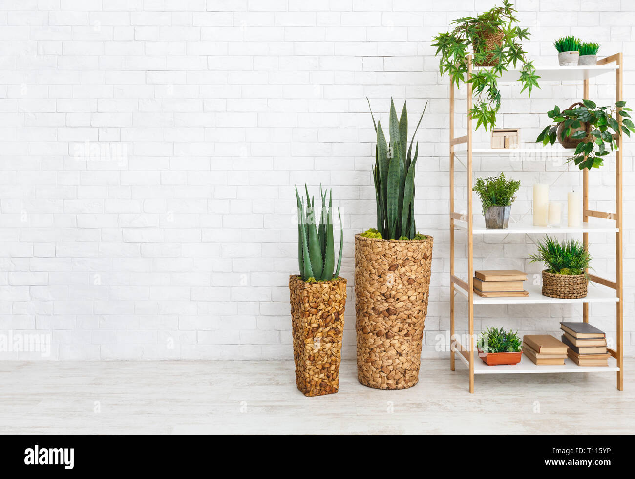 Decorative rack with house plants and books Stock Photo Alamy