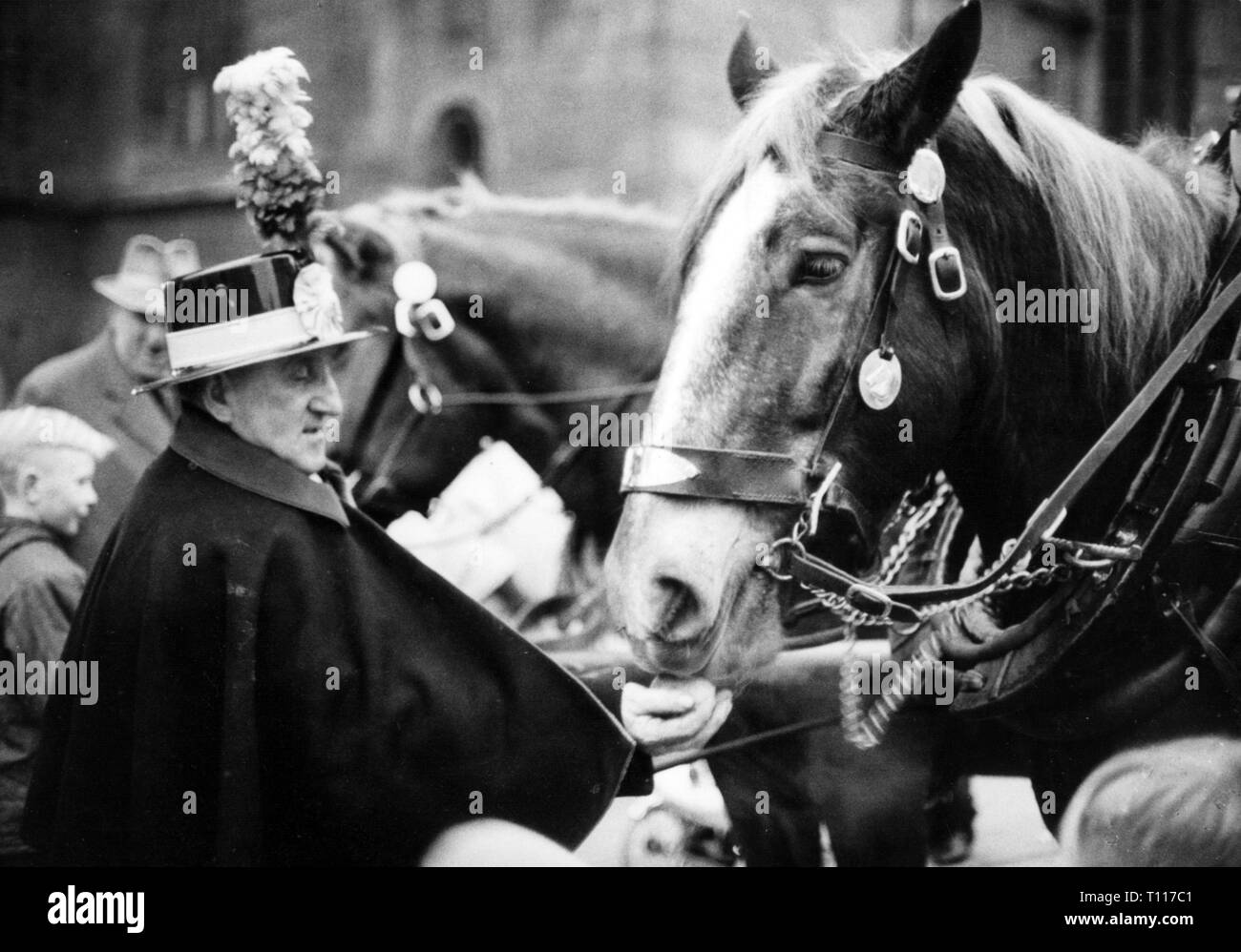 Christmas, Christmas markets, Nuremberg Christmas market, a postilion is feeding a horse, December 1963, Additional-Rights-Clearance-Info-Not-Available Stock Photo