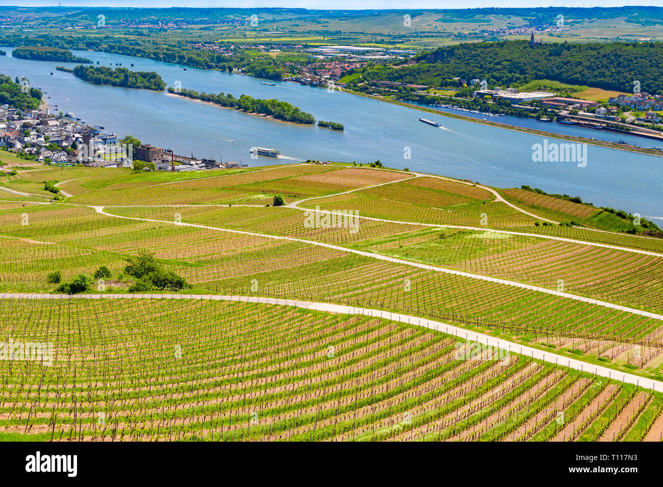 Beautiful panoramic landscape view of the lovely sloped vineyards at the Rhine valley on a nice sunny day. The river island Rüdesheimer Aue, a nature... Stock Photo