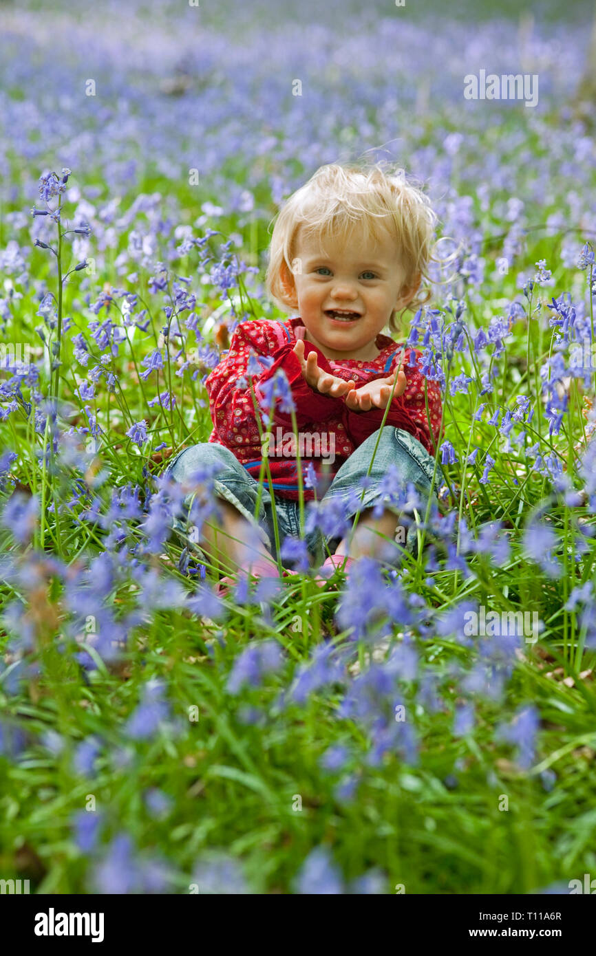 Great Britain, England, Forest of Dean. Little girl enjoying a bluebell woodland. MR. Stock Photo