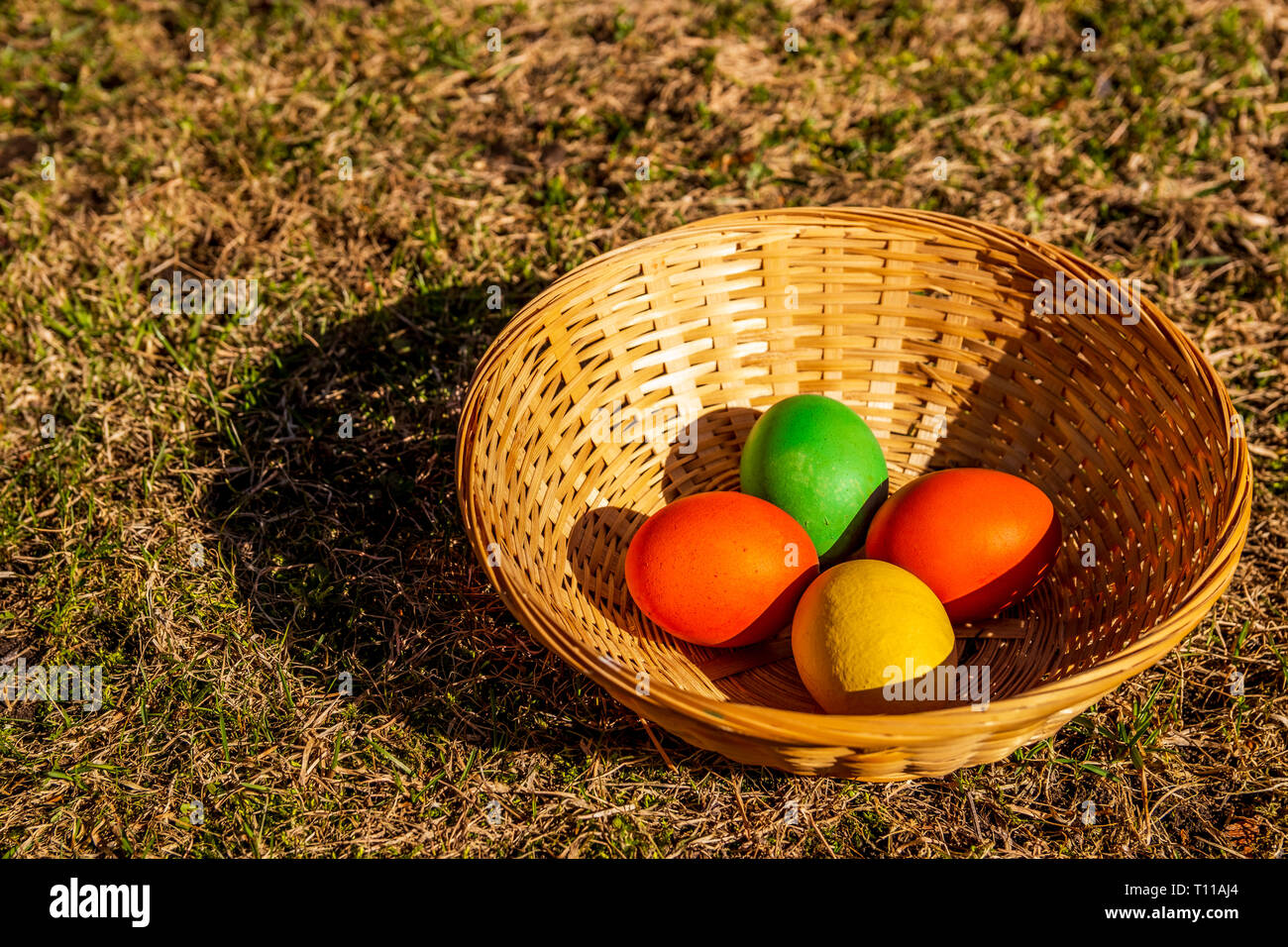 Easter egg hunt eggs in a basket on a grass background isolated Stock Photo