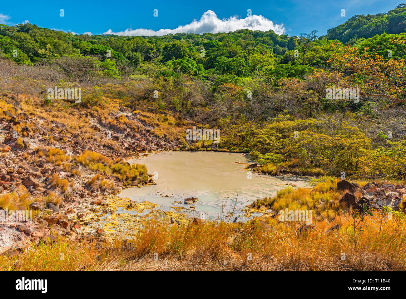 Colourful volcanic landscape inside the Rincon de la Vieja national park with a sulphur lagoon, Guanacaste province, Costa Rica. Stock Photo