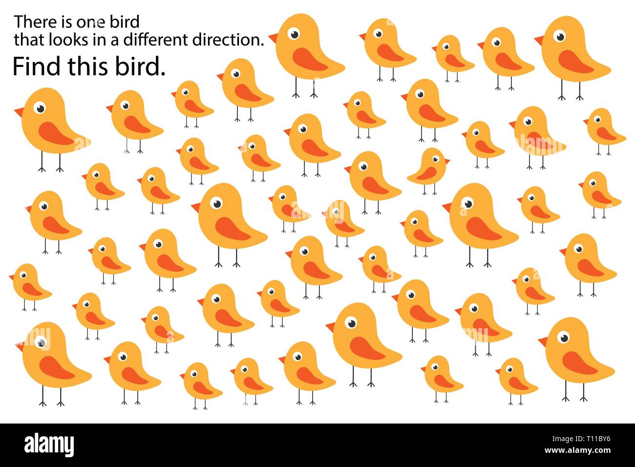 Find bird that looks in other direction, springs education puzzle game