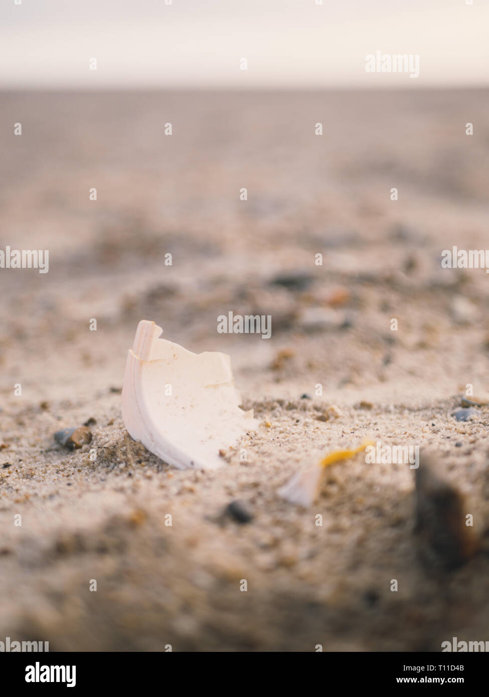 Plastic rubbish/litter/pollution on the beach/sand in the winter in the UK Stock Photo