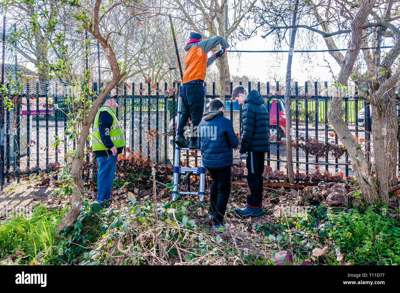 Miers Close Preserve, Newham Conservation Volunteers and local scouts