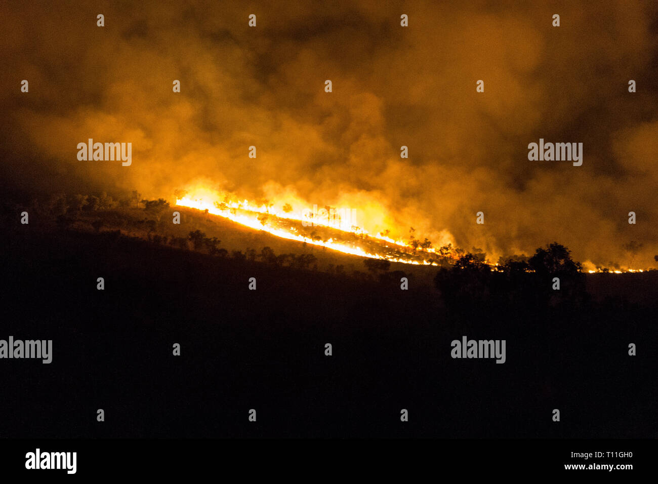 australian bushfire of a forrest at Night, nothern territory Stock ...