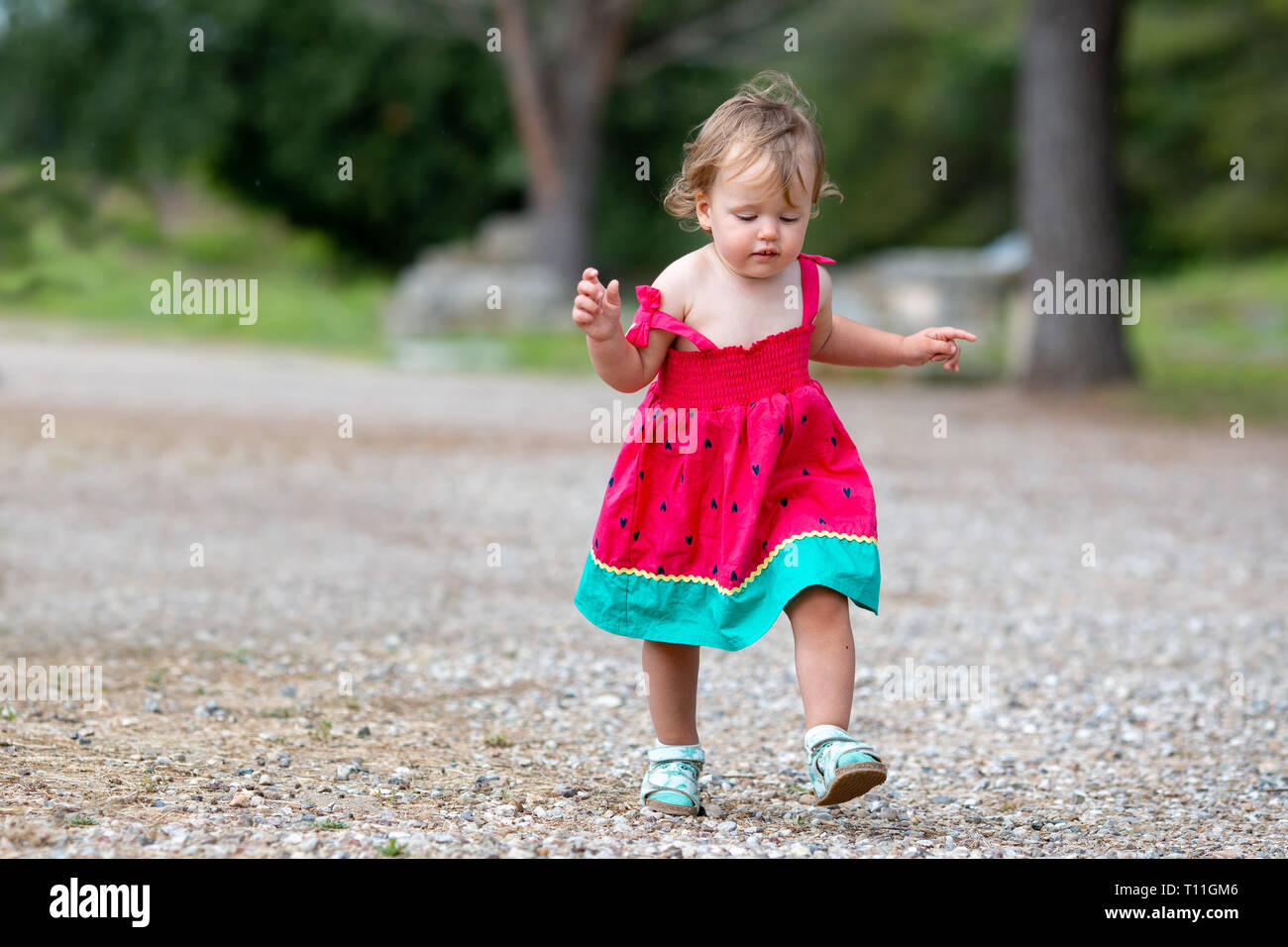Sweet blond little baby girl in beautiful dress plays walks outdoors on warm sunny summer day Stock Photo