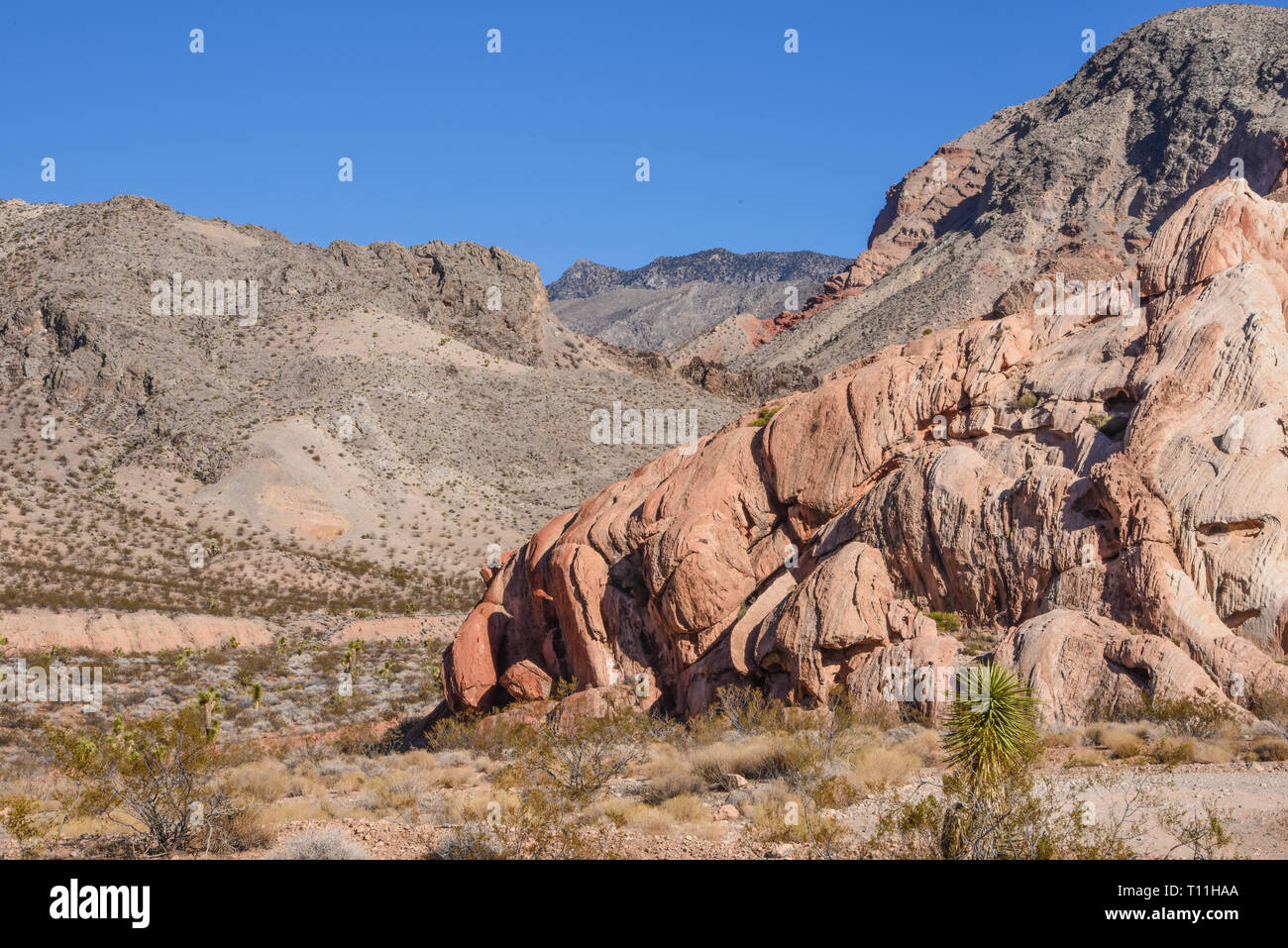 Gold Butte National Monument, Bunkerville, Nevada, USA, North America