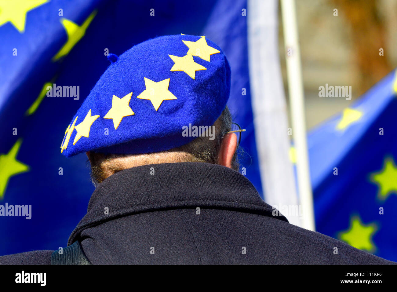 London, England, UK. Pro-EU protester in Westminster, March 2019 Stock Photo