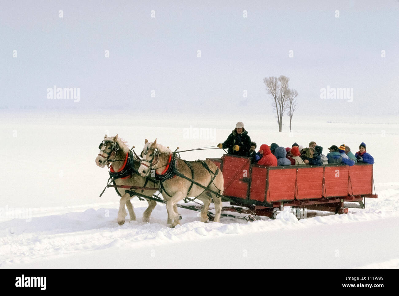 Early 1900s winter photo horse-drawn sleigh USA? Early 1900s winter photo horse-drawn sleigh USA?