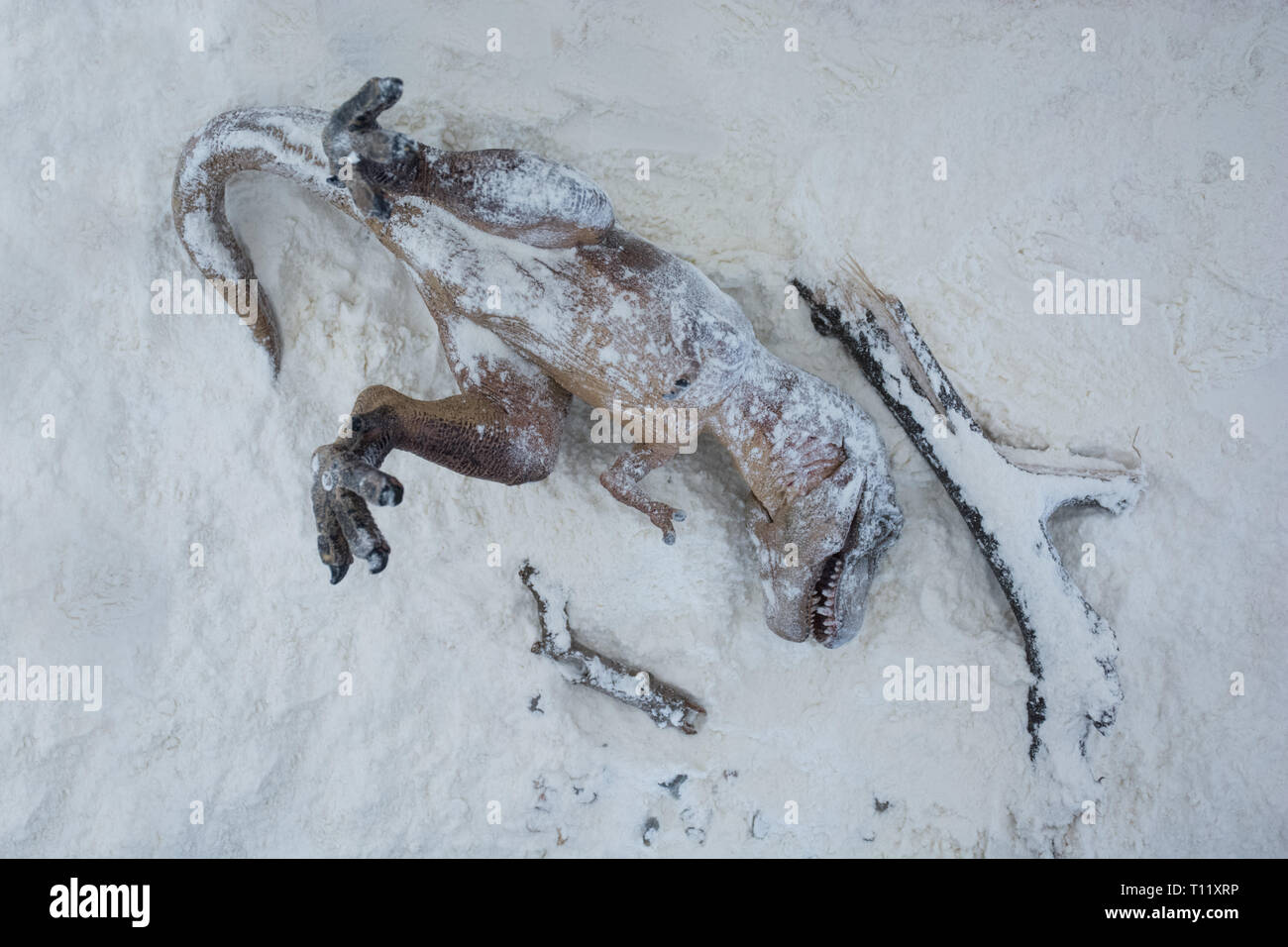 Dead tyrannosaurus rex under the snow in the extinction era Stock Photo