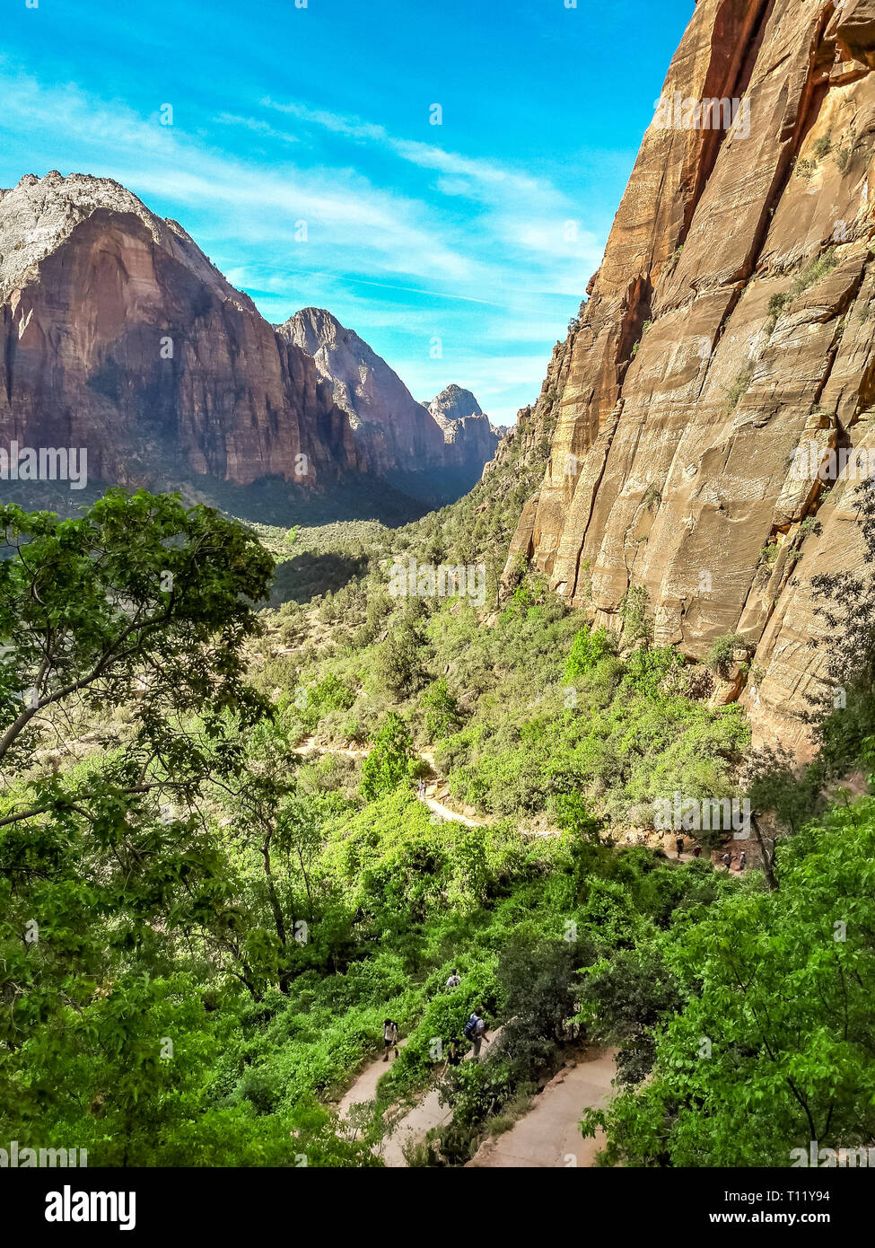 canyon of zion national park view from hiking trail to angels landing summit, utah usa Stock Photo