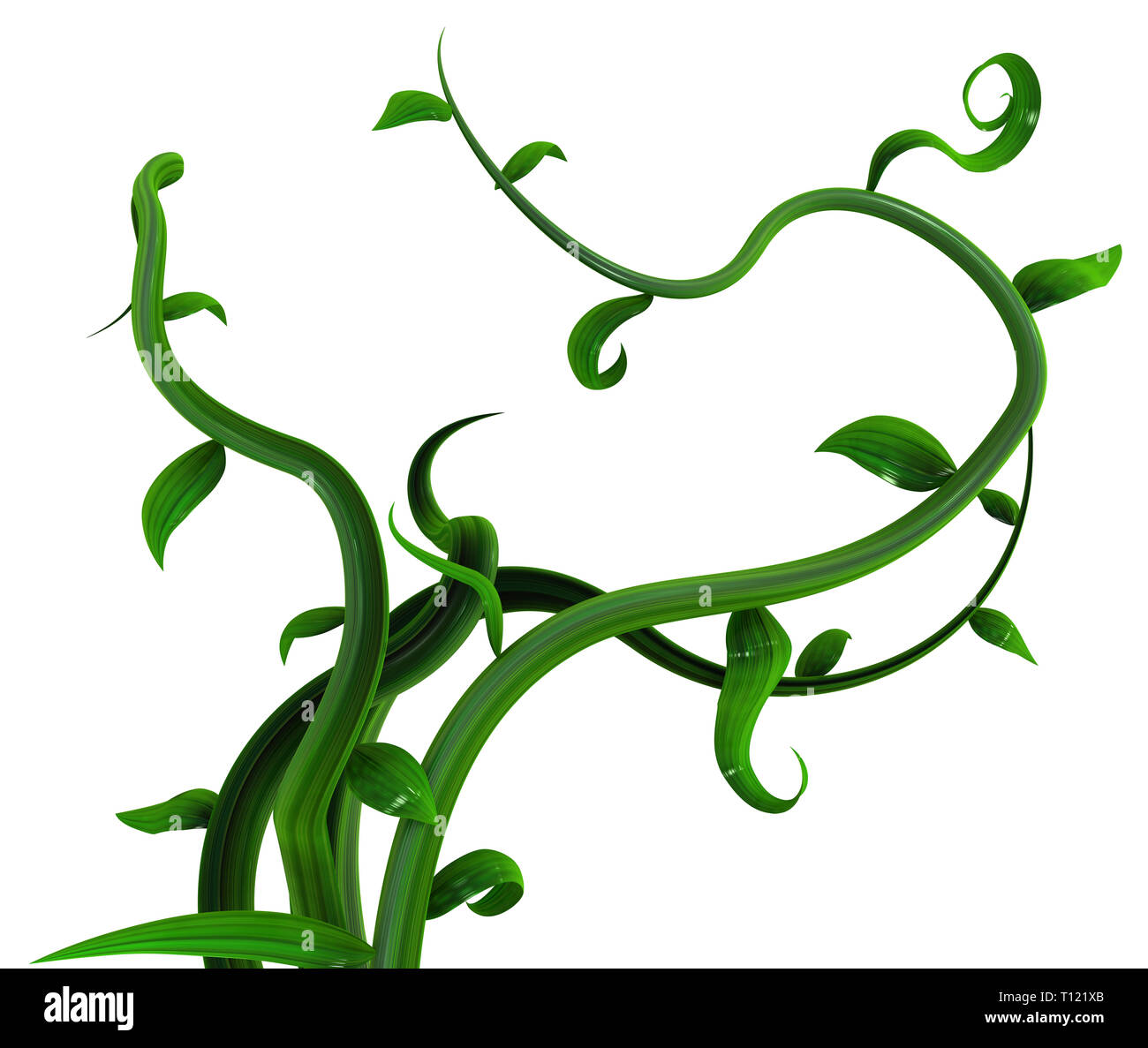 Plant vines bunch green leaves, 3d illustration, horizontal, isolated, over  white Stock Photo - Alamy