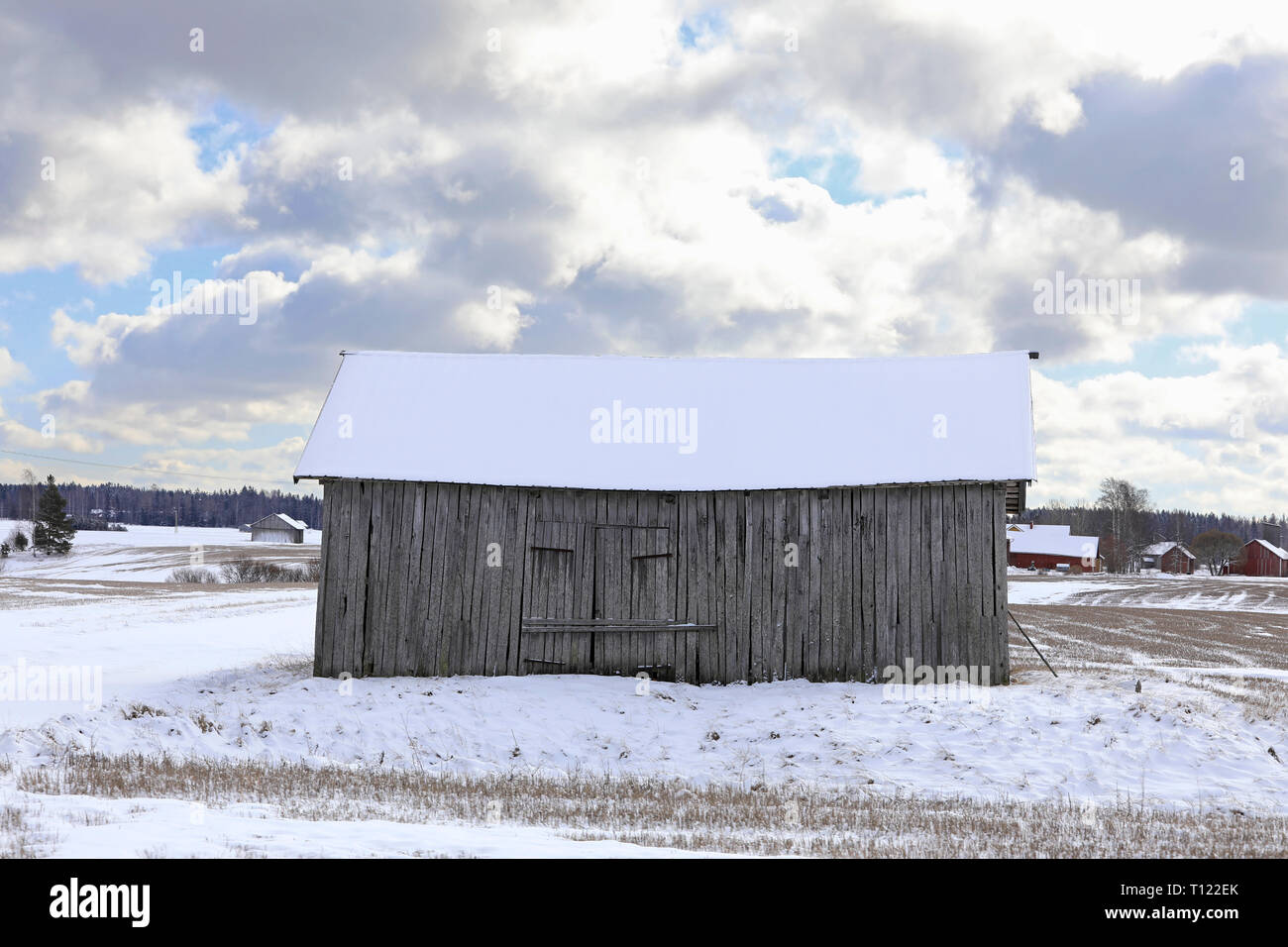 Rural landscape with grey wooden barn in field and farm buildings in the far distance under dramatic cloudy sky on a day of early spring. Stock Photo