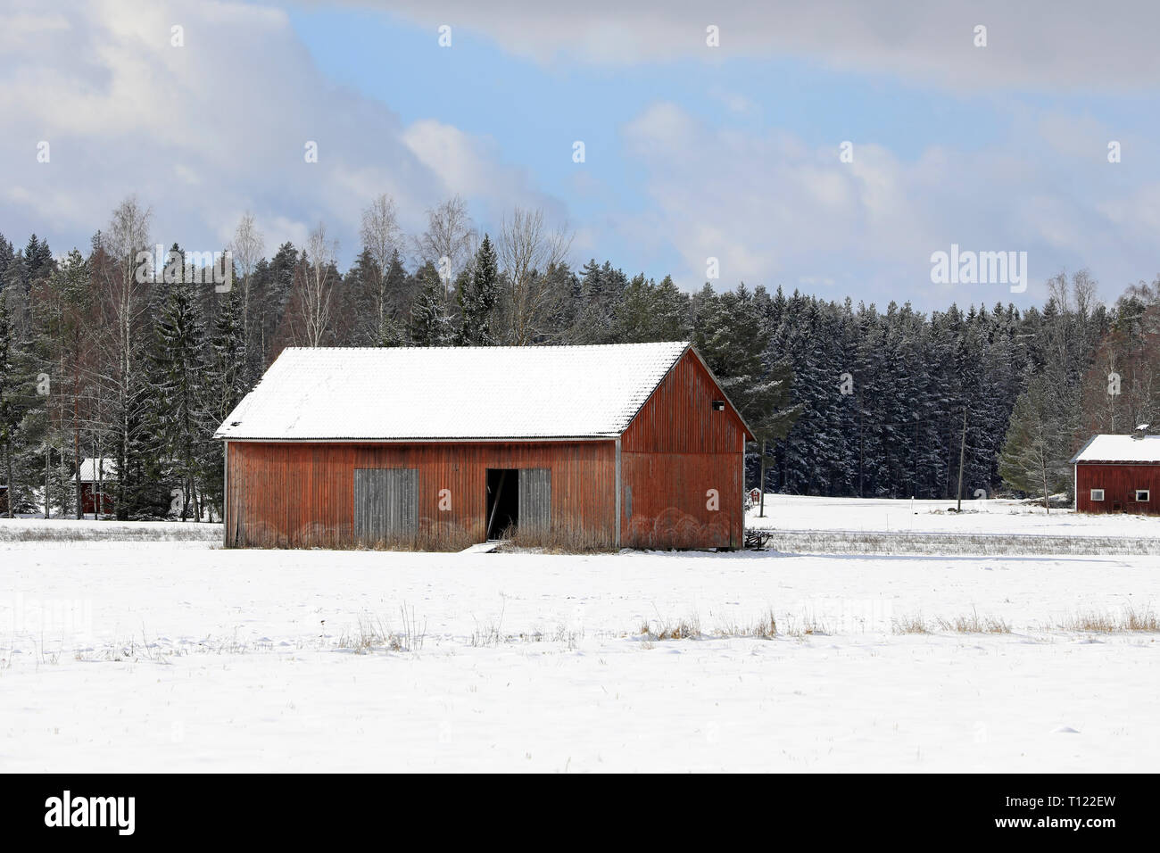 Rural landscape with red wooden barn in snowy field on a beautiful day of winter. Stock Photo