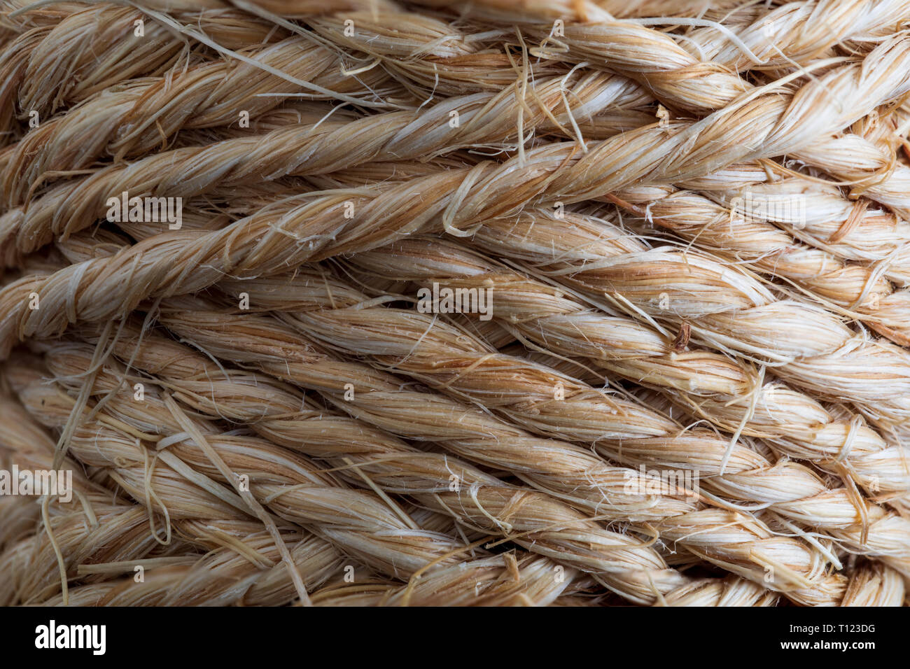 Close-up of natural rope texture. (collection of vegetable and