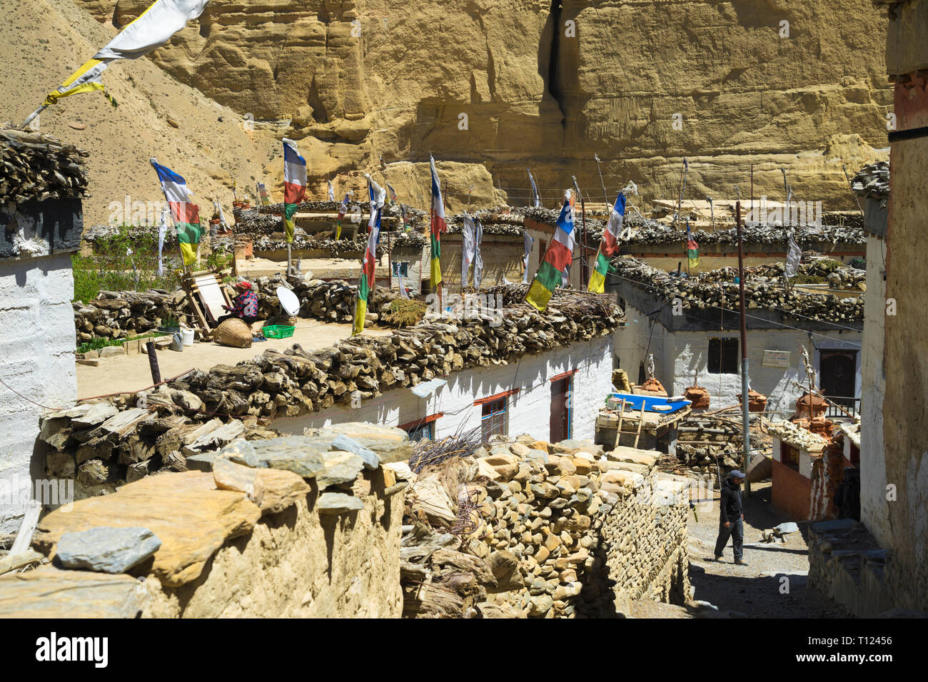 Typical Tibetan village of Chele, Upper Mustang region, NepaL. Stock Photo