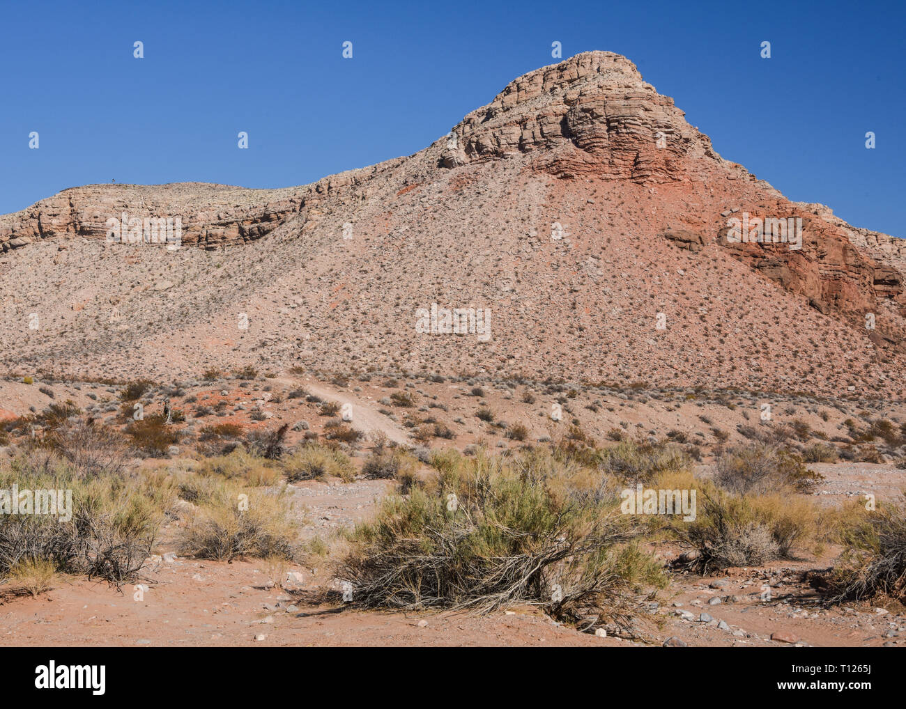 At The Narrows, Gold Butte National Monument near Bunkerville and Mesquite Nevada USA Stock Photo