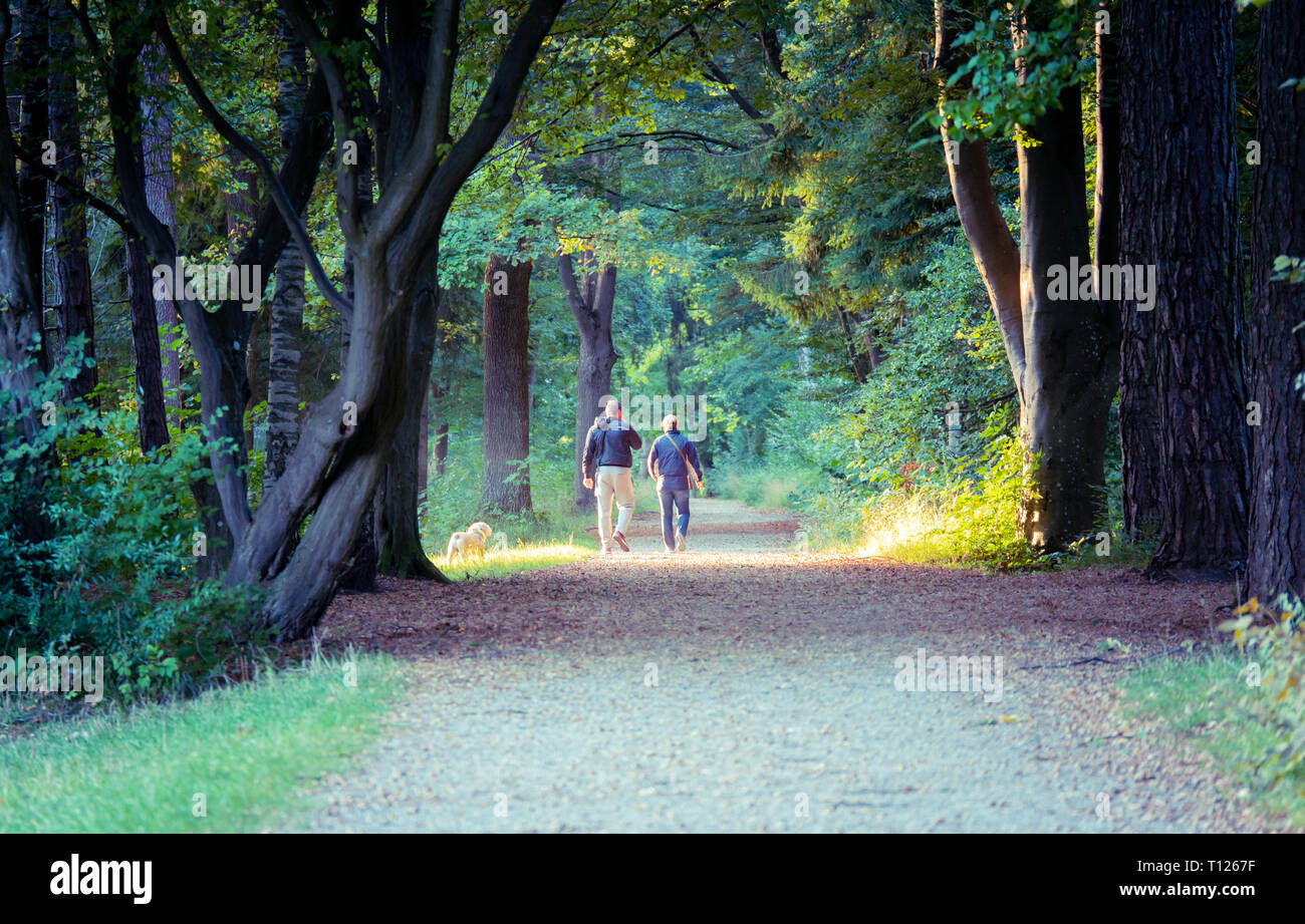 Image of couple with dog walking through the woods, enlighted by sun rays from behind Stock Photo
