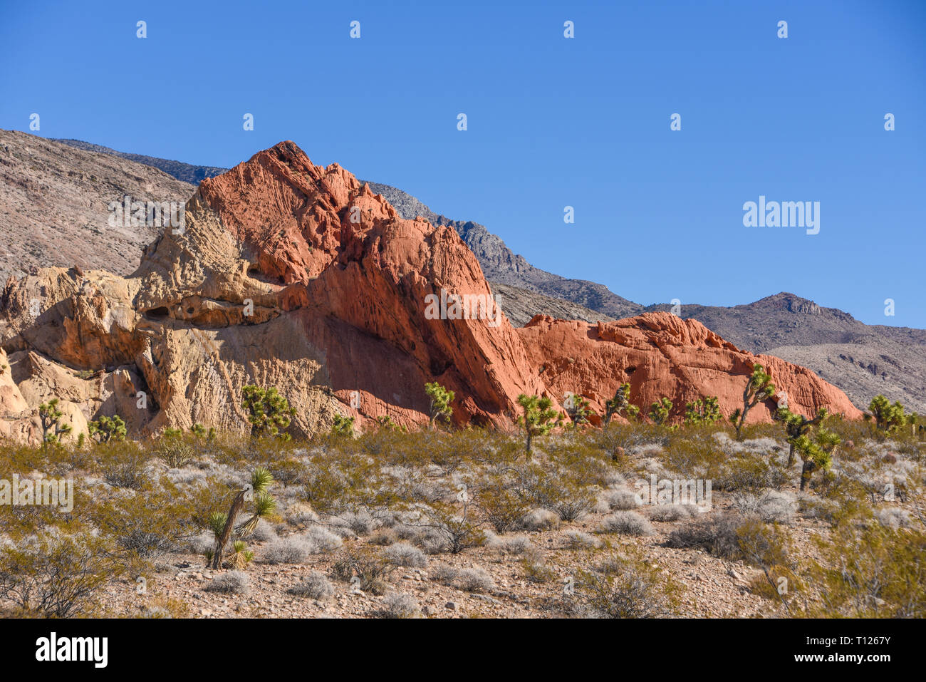 Red and gray Sandstone formation at Gold Butte National Monument near
