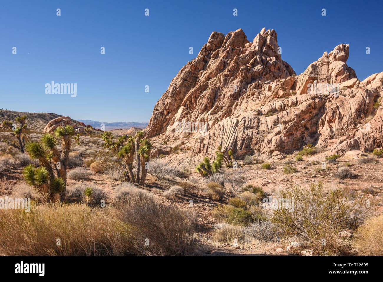 Gold Butte National Monument, Bunkerville, Nevada, USA Stock Photo Alamy