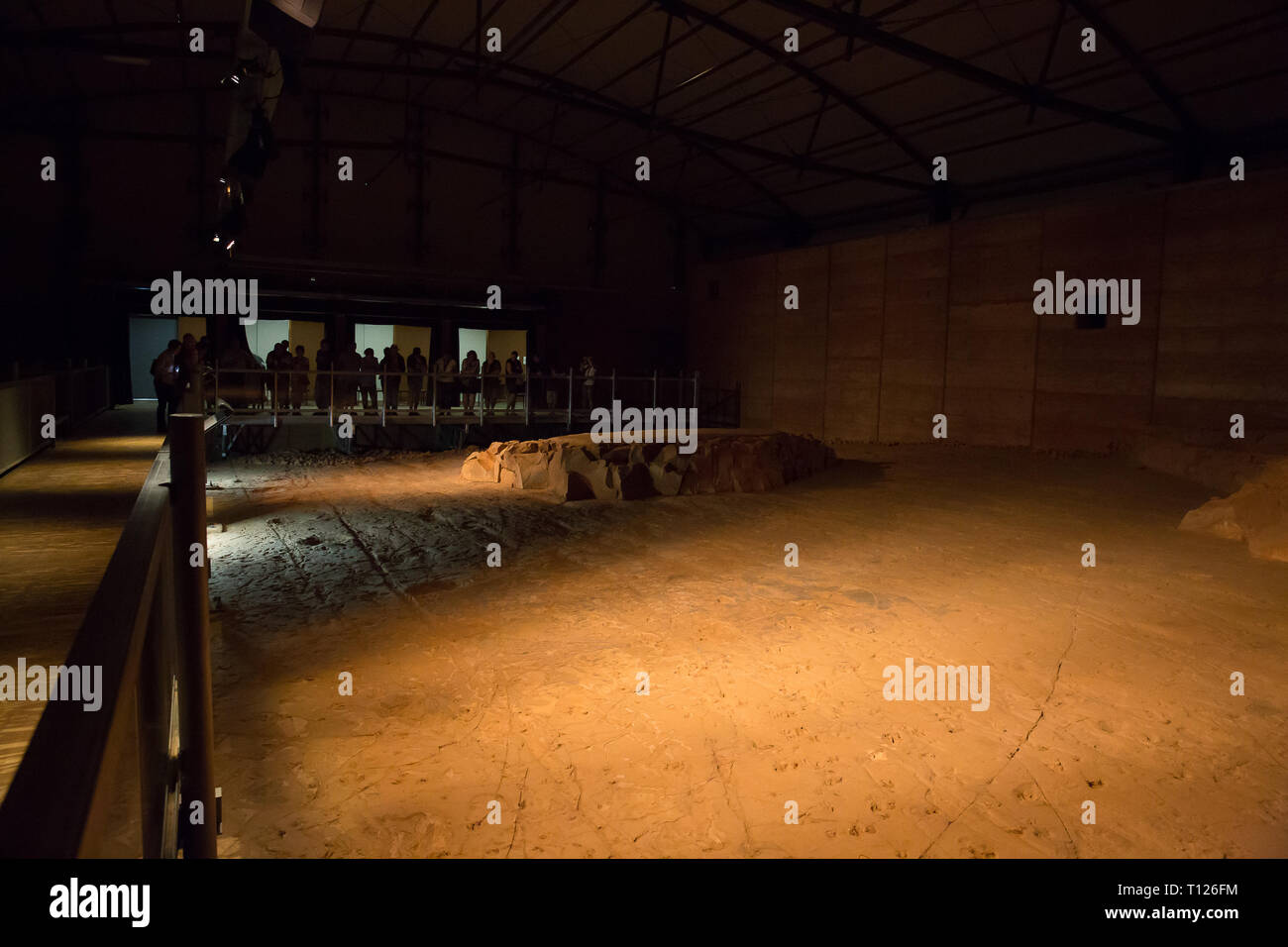 Fossiised dinosaur footprints at Lark's Quarry near Winton, Western