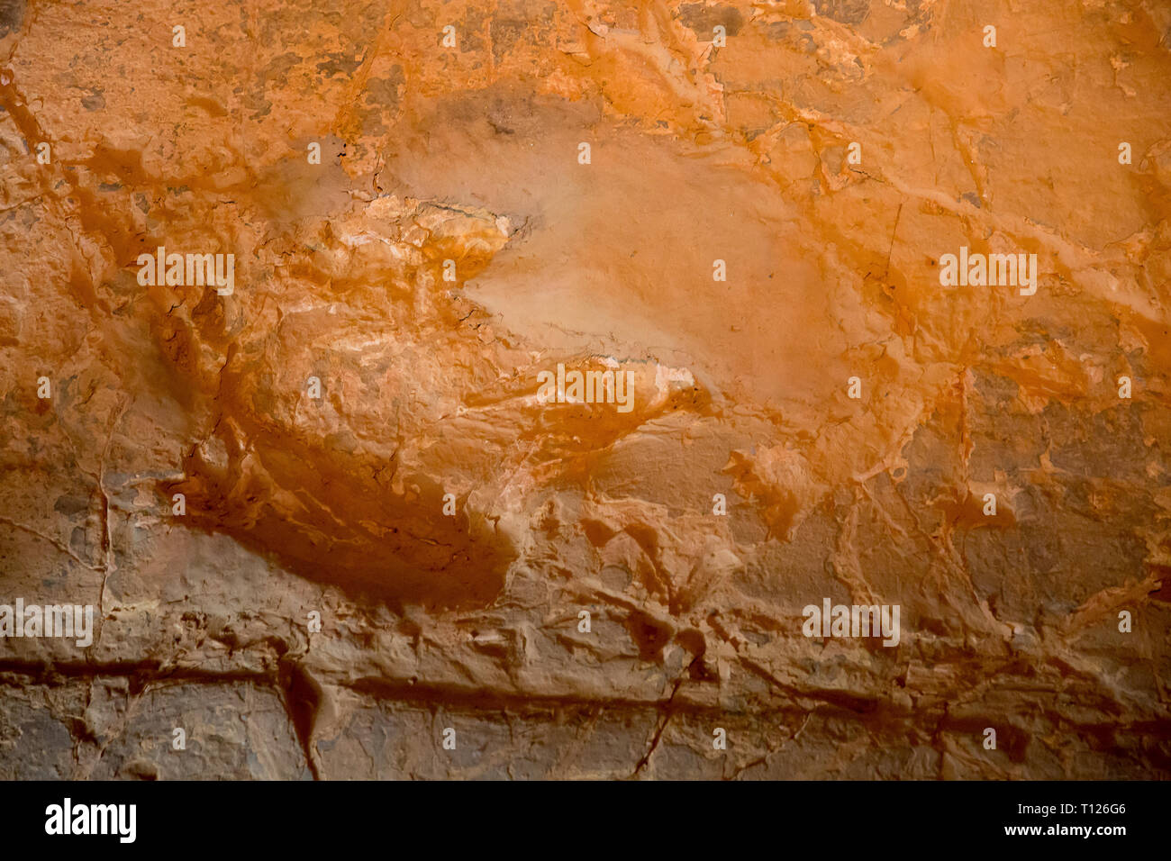 Fossiised dinosaur footprints at Lark's Quarry near Winton, Western