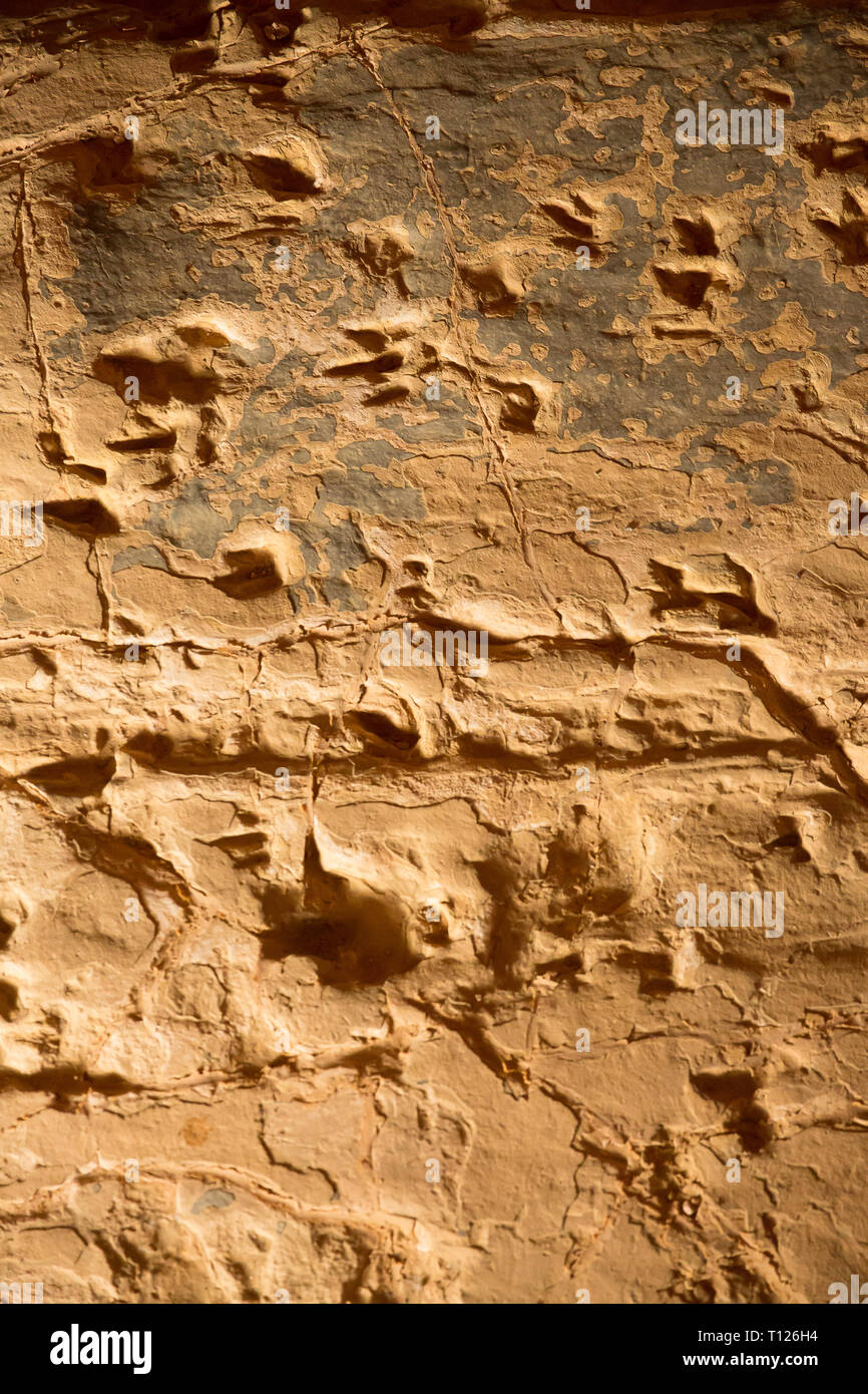 Fossiised dinosaur footprints at Lark's Quarry near Winton, Western