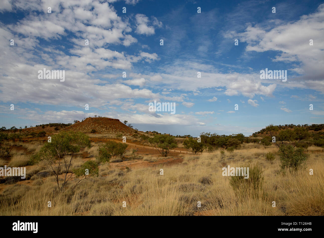 Dinosaur trail winton hires stock photography and images Alamy