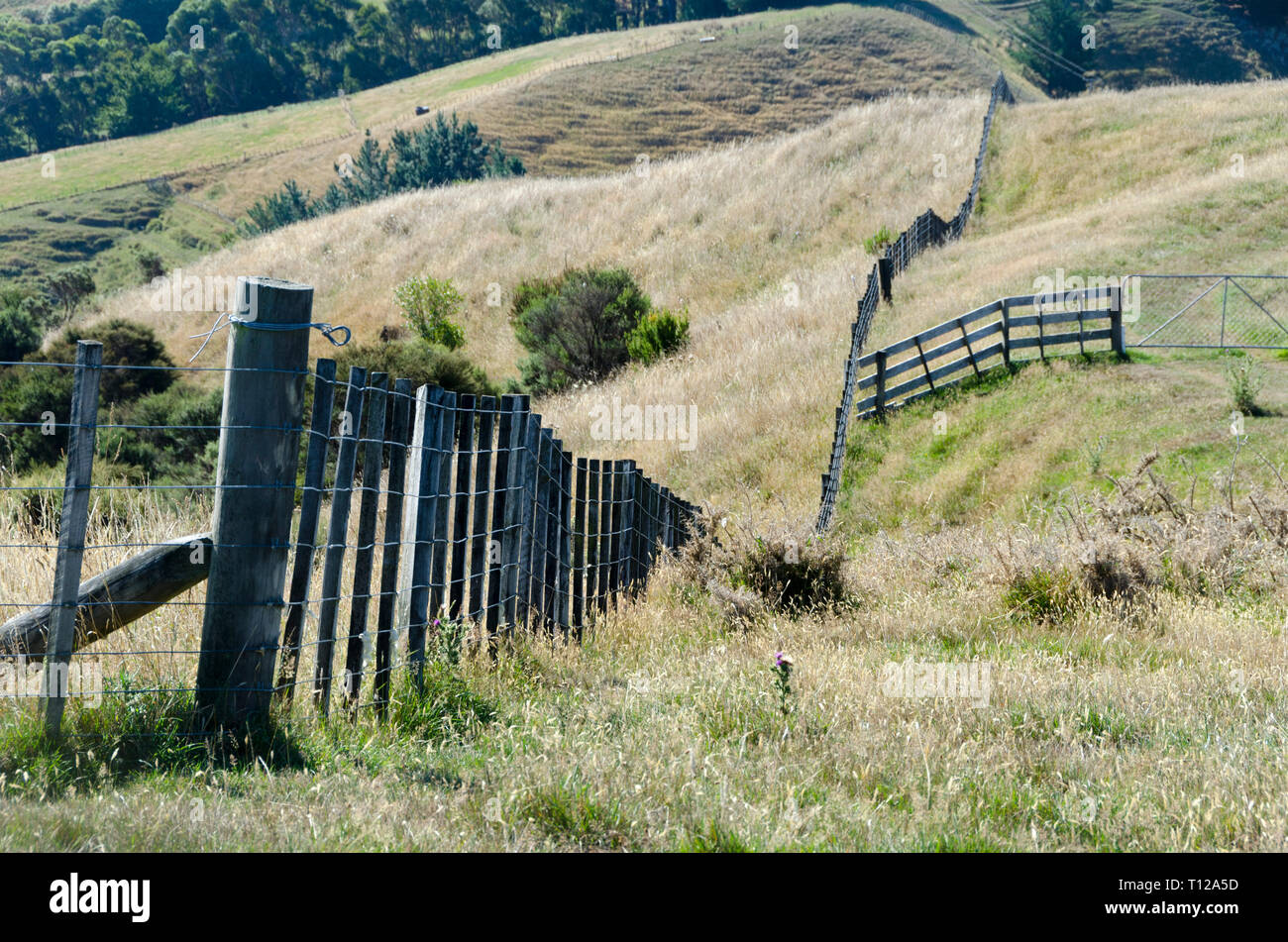 Farm fence on hillside, Pauatahanui, Porirua, Wellington, North Island