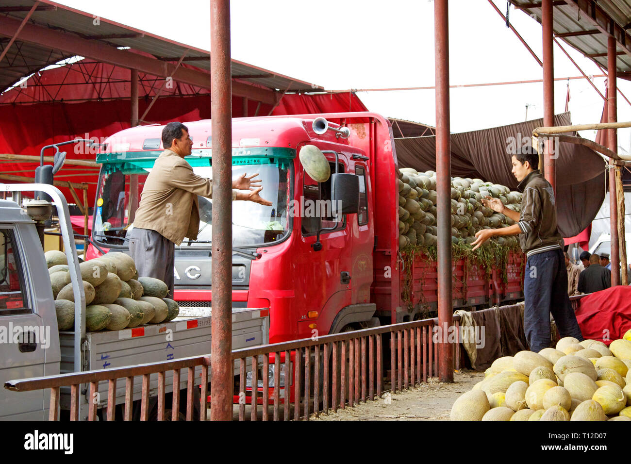 Uighus men unload watermelons at famous sunday market in Kashgar, Xinjiang Autonomous Region, China. Stock Photo