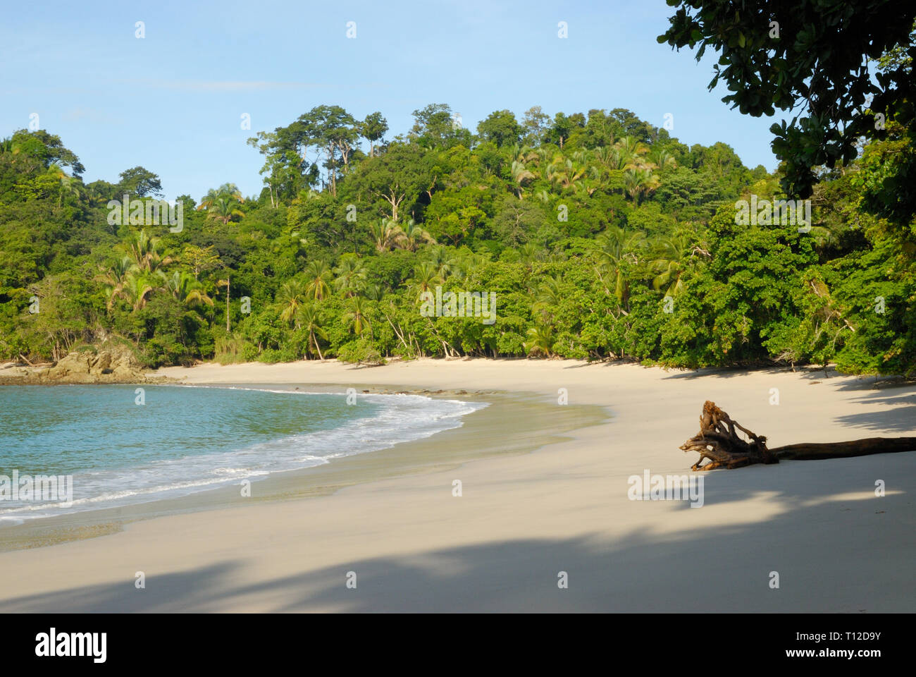 Tranquil La Macha Beach, Costa Rica, deserted in the early morning Stock Photo