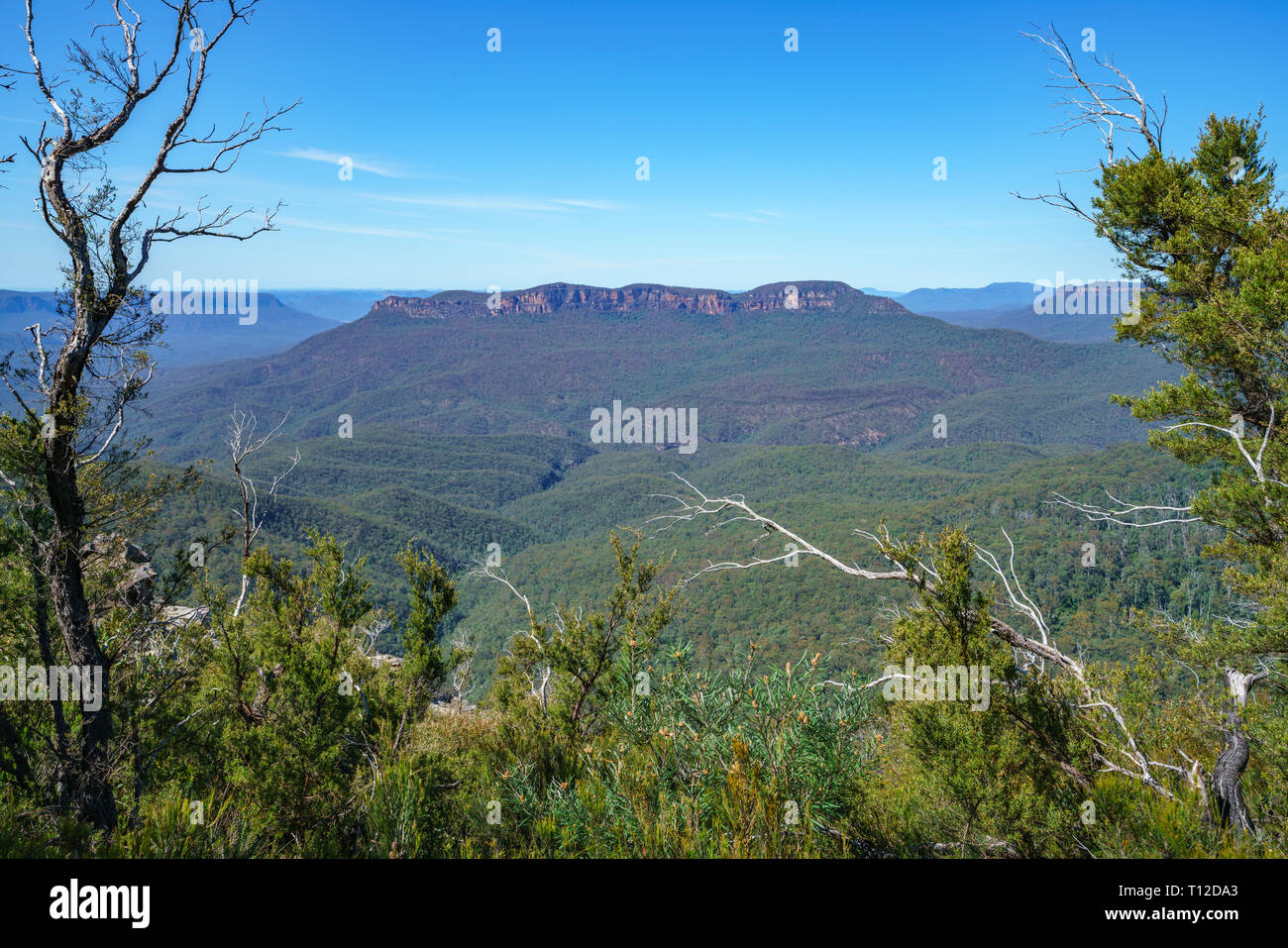 hiking to elysian rock lookout, prince henry cliff walk, blue mountains national park, australia Stock Photo