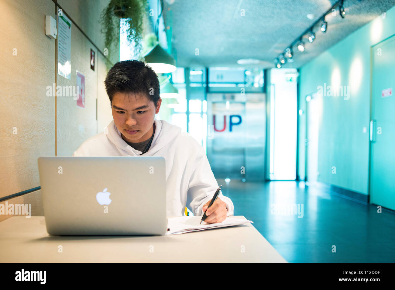 A young Asian male student sits at a table and works on his laptop ...
