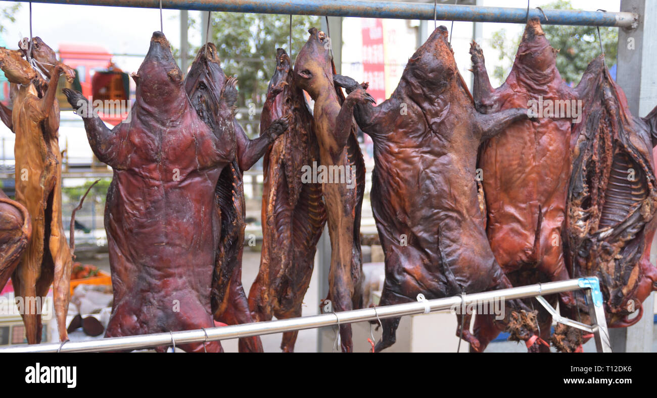 Hog Badger (Arctonyx collaris) and cat (probably Leopard Cat, (Prionailurus bengalensis) meat for sale in a chinese wildlife market Stock Photo