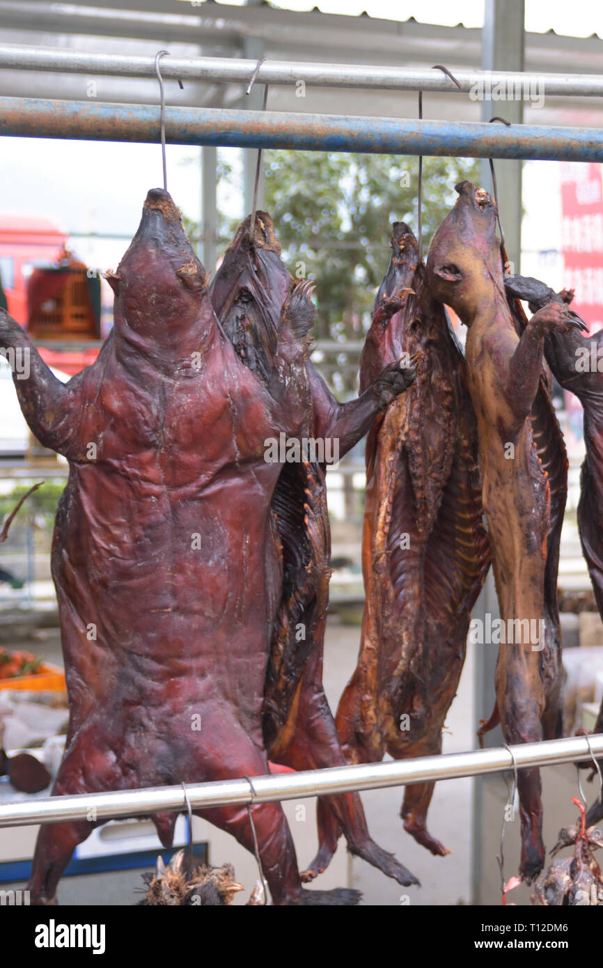 Hog Badger (Arctonyx collaris) meat for sale in a chinese wildlife market Stock Photo