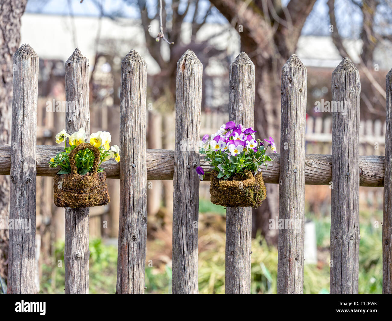 Flower arrangement baskets hires stock photography and images Alamy