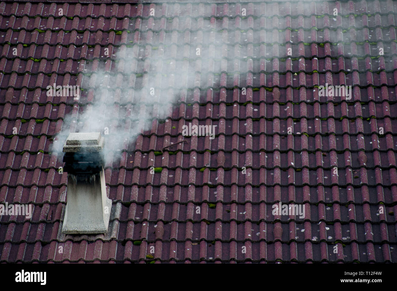 chimney fuming by wood stove Stock Photo Alamy