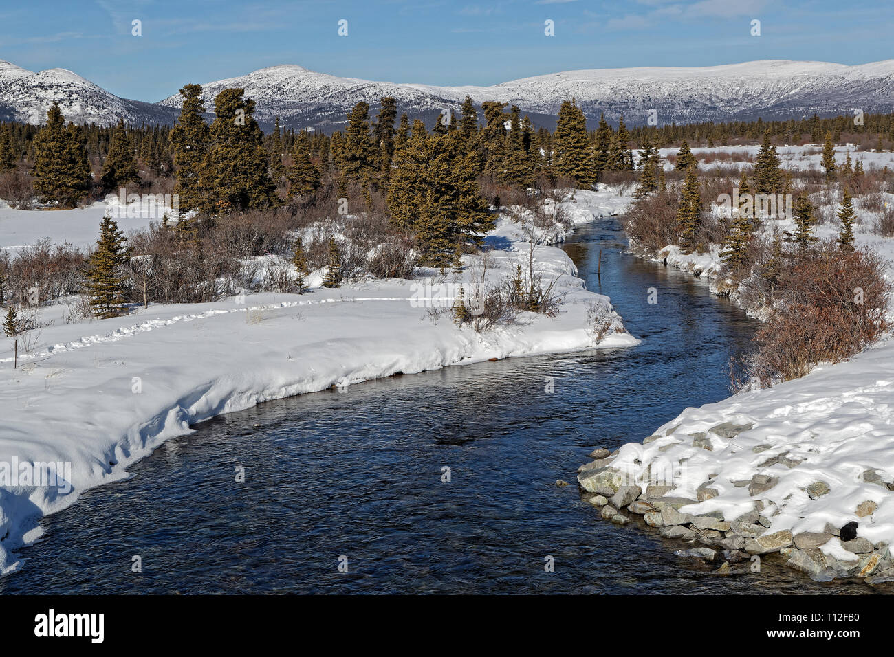  Fish lake yukon hi-res stock photography and images - Alamy Illustration 