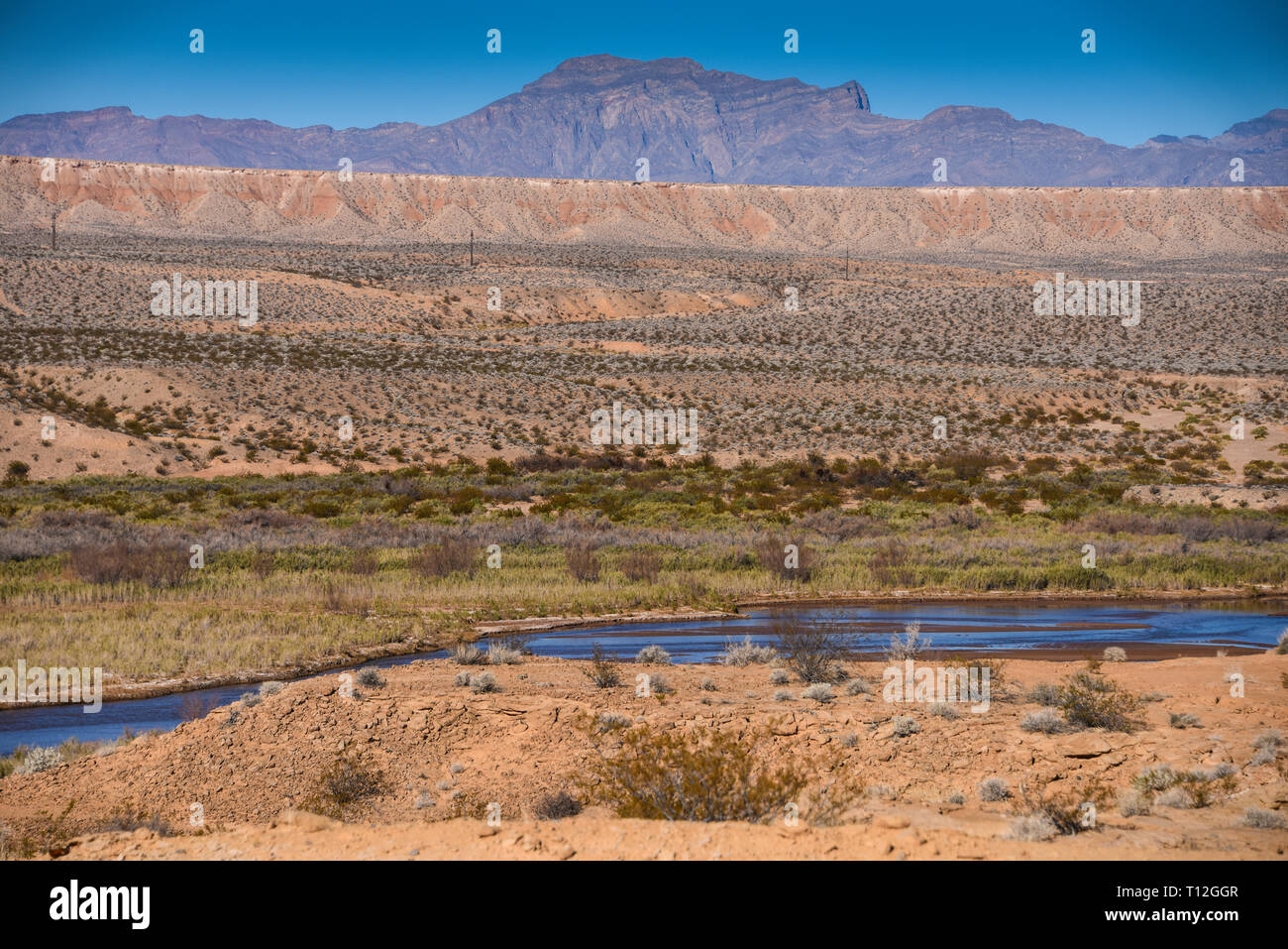 Gold Butte National Monument, Bunkerville, Nevada, USA, North America