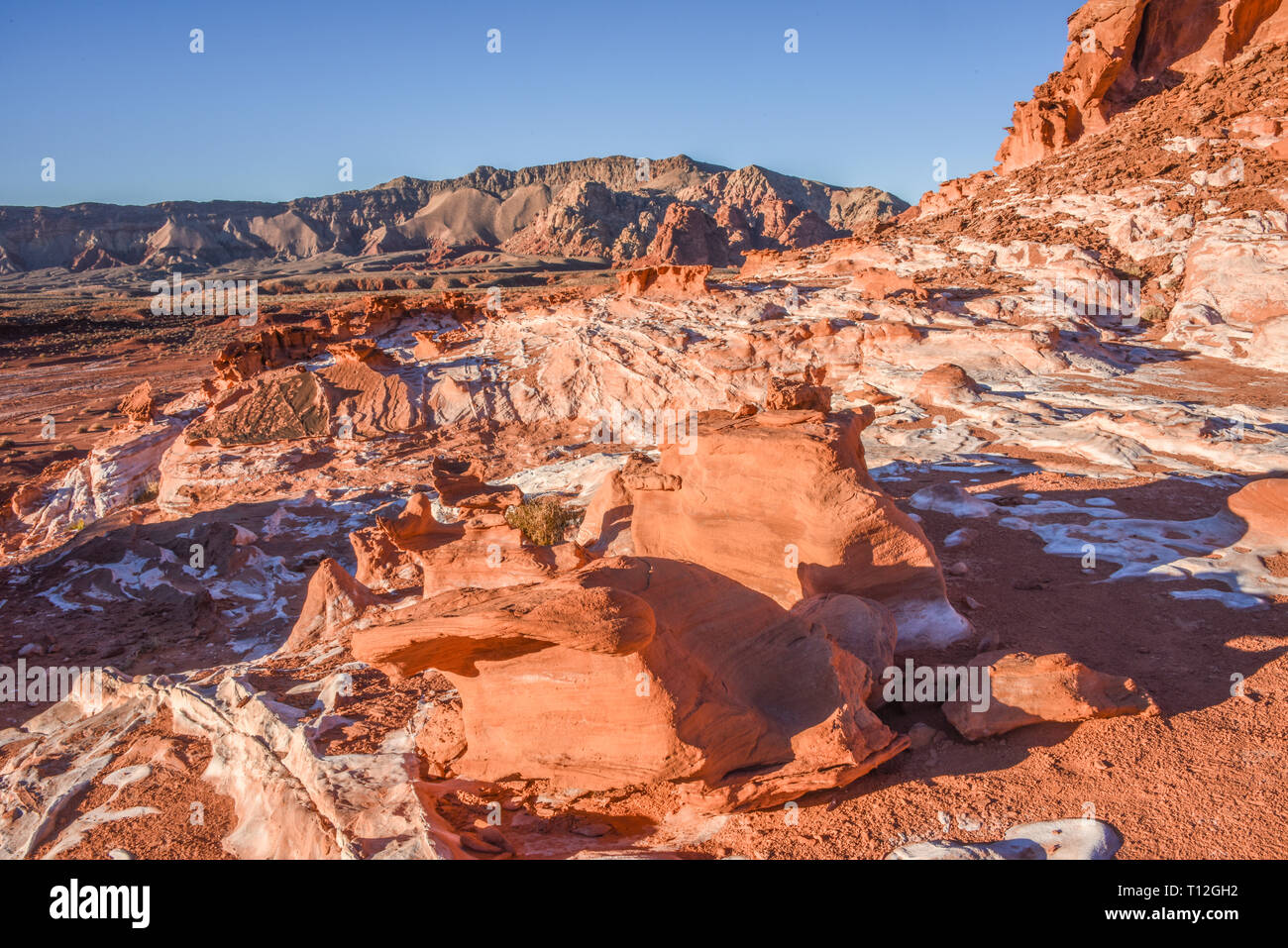 Gold Butte National Monument, Little Fin Land, Nevada, USA Stock Photo