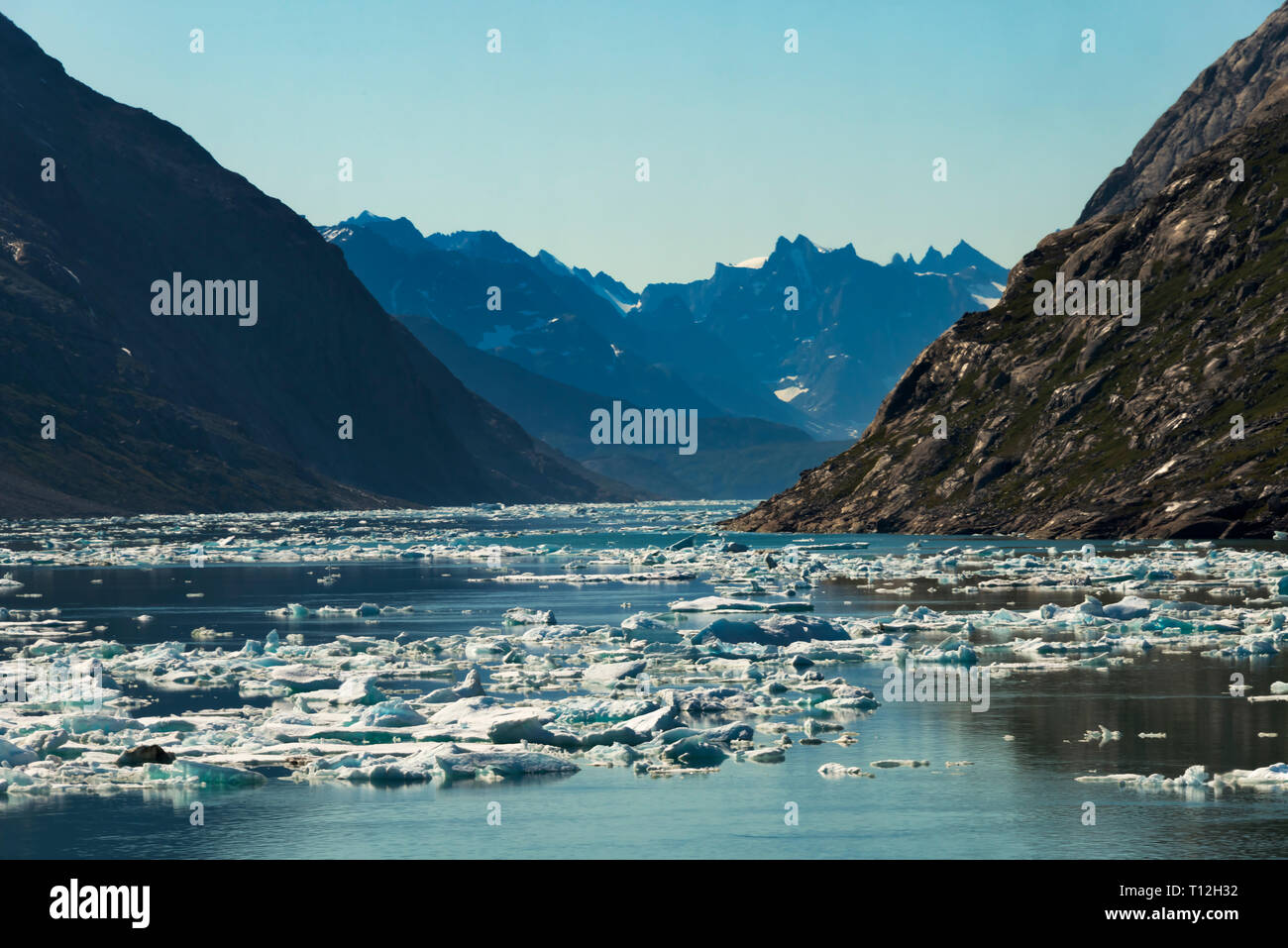 Floating ice on the ocean and island in Prins Christian Sund, Greenland Stock Photo