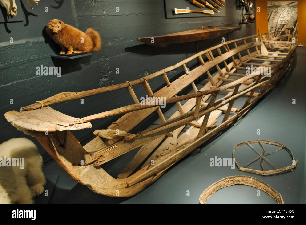 Display of Inuit people's boat in the National Museum, Nuuk, Greenland Stock Photo