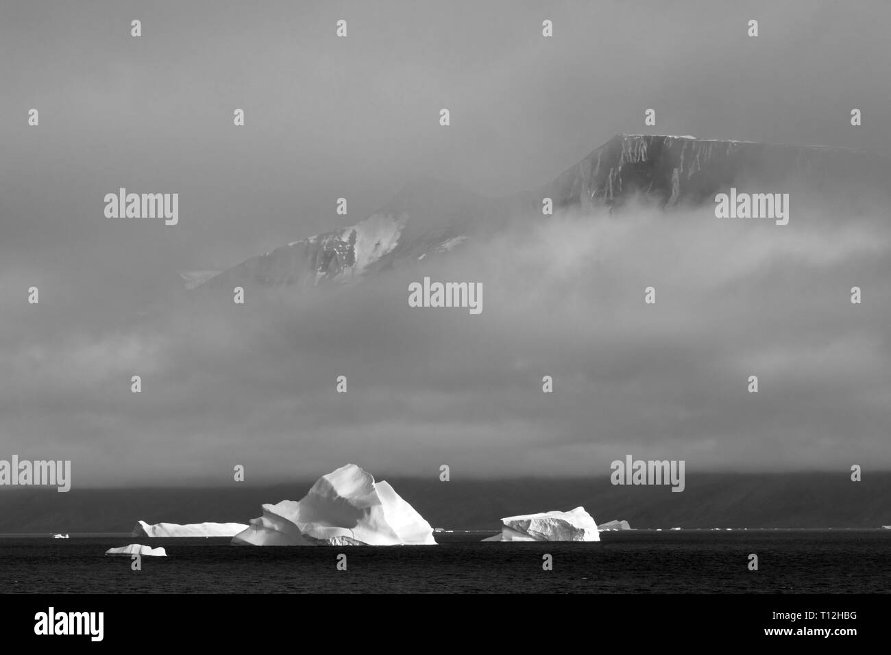 Floating iceberg in the ocean, Greenland Stock Photo