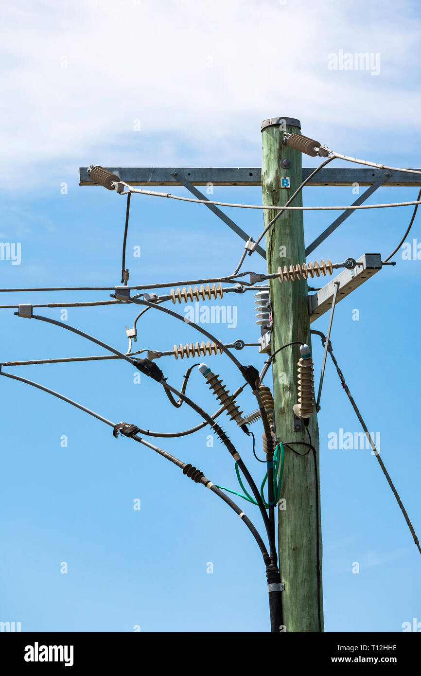 Power pole terminal high above street level on a summers day Stock