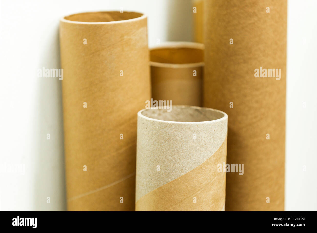 Cardboard postage tubes standing up straight Stock Photo Alamy