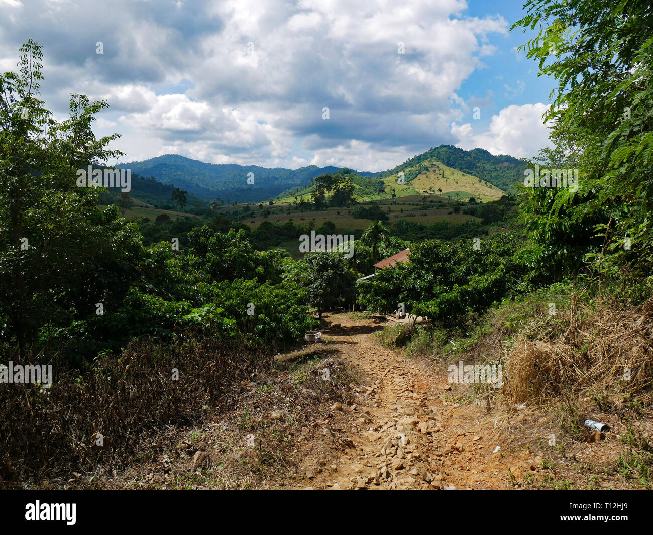 Cambodia. Beautiful countryside in Pailin Province. A stony track leads down into a valley with tropical vegetation and mountains in the background Stock Photo
