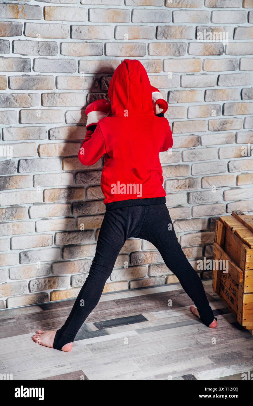 boxer sweatshirt